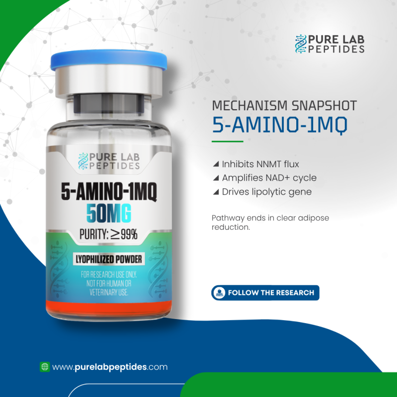 Pure Lab Peptides  Precision Peptides for Reliable Scientific Discovery